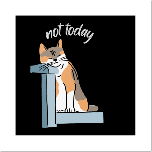 Lazy Cat Nope not Today funny sarcastic messages sayings and quotes Posters and Art